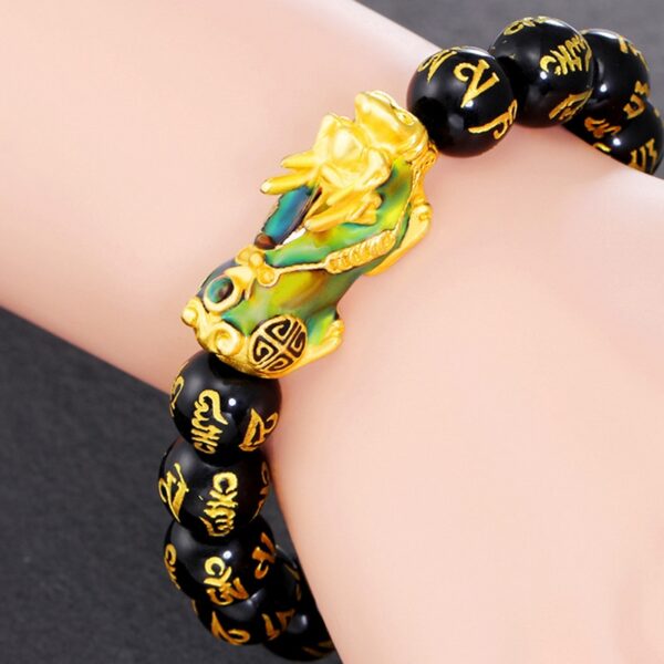 Pi Xiu Color Bracelet - Protection and Abundance - Imagem 2