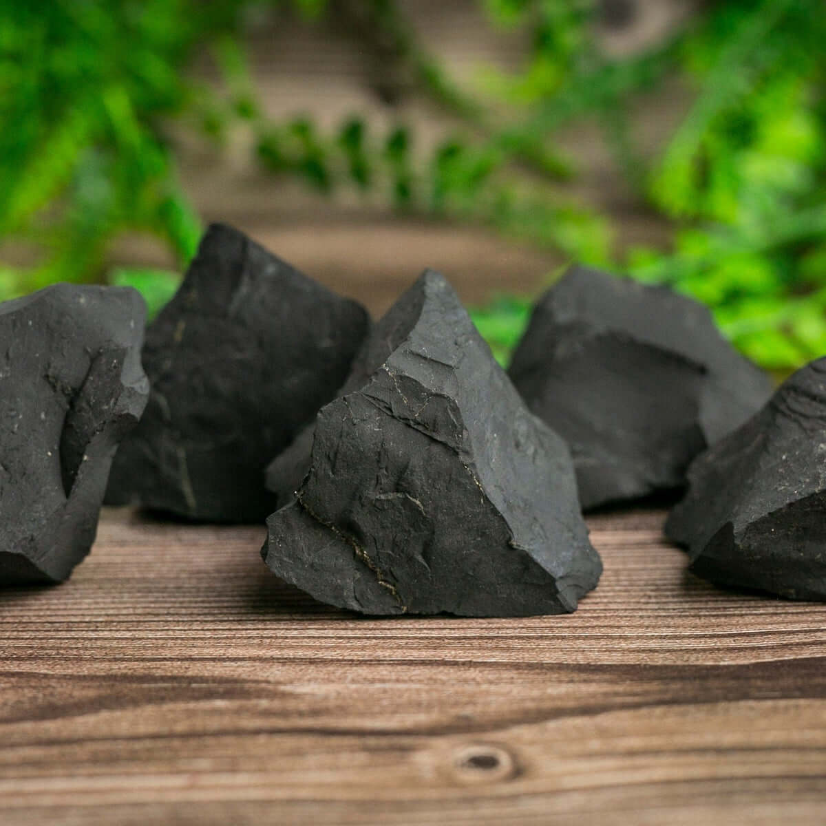 zalupe raw shungite