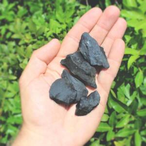 Shungite Natural Raw Stone